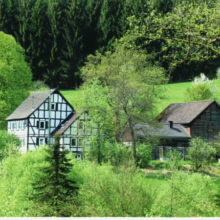 Größeres Bild ansehen